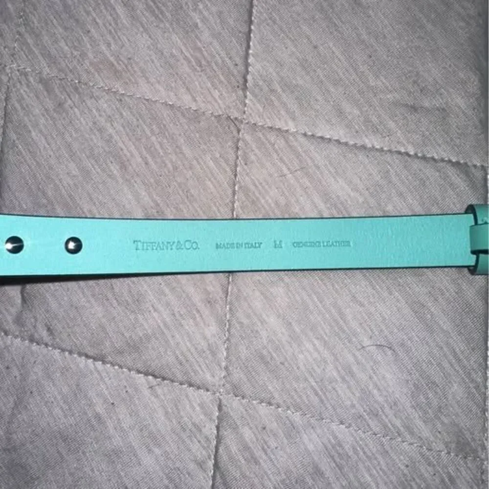 Tiffany & Co. Pet Collar and Leash Set